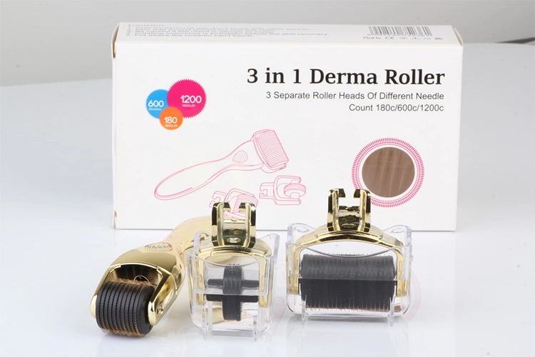 OEM/ODM kundenspezifische Marke 3 In 1 Drs Derma Roller für Anti-Aging Edelstahl Titan 2